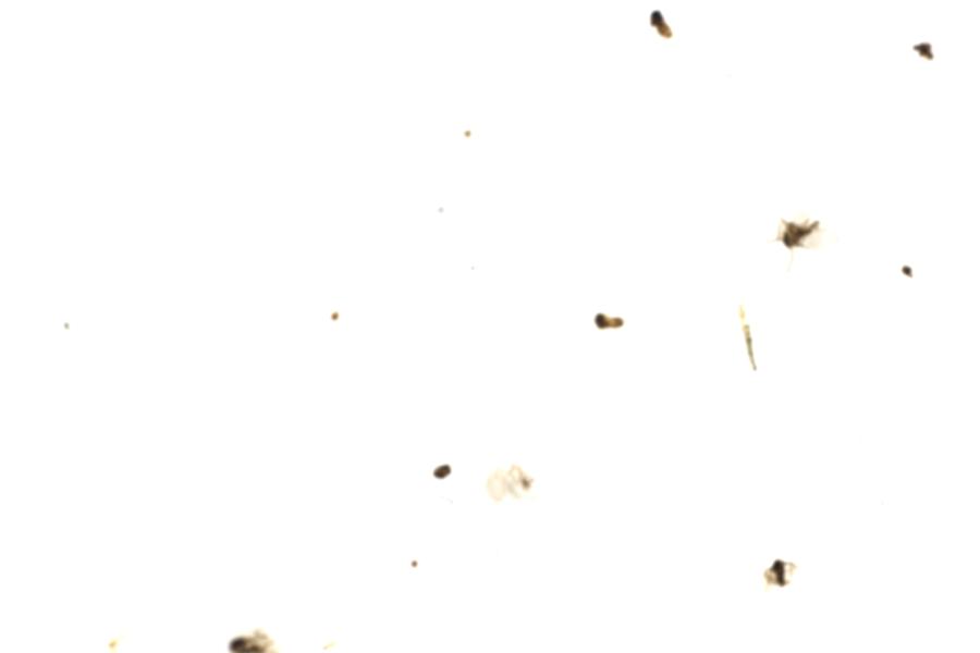 Image 101